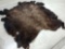 Tanned Buffalo Robe