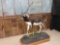 Full Body Mount Indian Black Buck