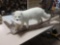 Arctic Fox Full body Taxidermy Mount