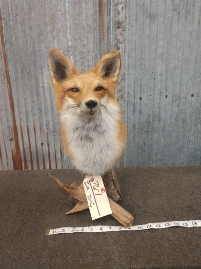 Red Fox Table Top Pedestal Mount
