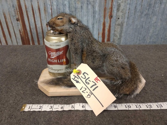 Full Body Mount Drunken Squirrel