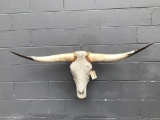 White Crystal Bejeweled Longhorn Skull