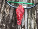 Awesome Longhorn Skull Bejeweled With Red Coral