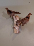 Pair of Flying Grouse Full body Mount