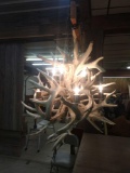 Beautiful Whitetail Antler Chandelier