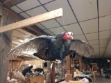 Full Body Mount Flying Turkey