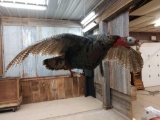 Full Body Mount Flying Turkey