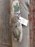 Full body mount Flying Squirrel