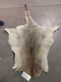 Soft Tanned Kangaroo Hide