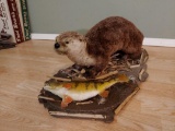 Full Body Mount Otter With Perch