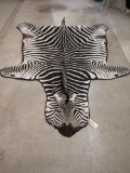 Beautiful Burchell Zebra Rug