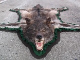 Beautiful Black Canadian Wolf Rug NEW Taxidermy