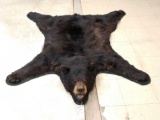 Black Bear Rug