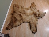 Beautiful Blonde we mean BLONDE Almost Albino Color Phase Black Bear Rug