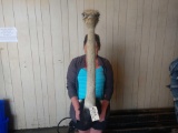 Shoulder Mount Taxidermy Ostrich