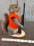 Full Body Mount Hunting Squirrel