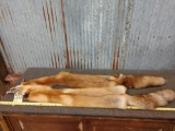 2 Garment Tanned Red Fox Furs