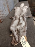 Beautiful Blue Ranch Fox Fur