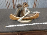 Full Body Mount Squirrel In A Canoe