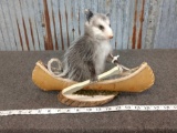 Full Body Mount Juvenile Opossum In A Canoe