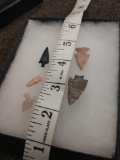 5 Nice Bird Point Arrow Heads