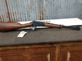 Henry Model H001L .22 Lever Action Carbine