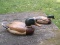 2 Wooden Hand Carved Signed Tom Taber Wood Duck Decoys