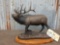 National Wild Turkey Federation Elk Sculpture