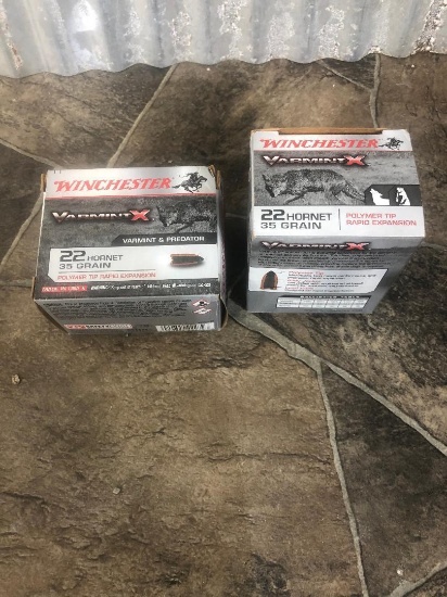 40 Rounds of .22 Hornet Ammo