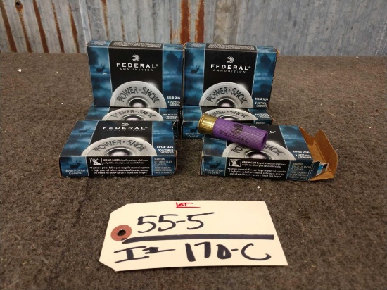 29 Rounds of 16ga Slugs