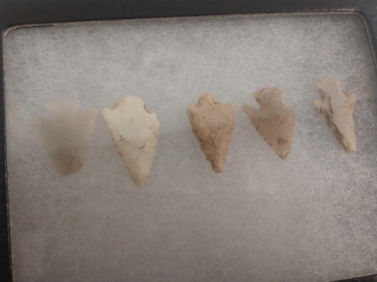 5 Bird Points Native American Artifact