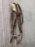 Vintage Horse Bridle Complete With Rosettes