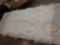 Cashmere Goat Rug Taxidermy