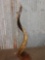 Hand Carved African Kudu Horn Accent Piece