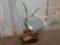 Carved Whitetail Antler Art Piece