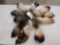 10 Tanuki of Finn Raccoon Tails