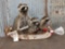 Family Of Raccoons Fishing In A Canoe