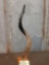 Hand Carved African Kudu Horn Accent Piece