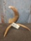 Sheep Horn Carved Eagle Head Sculpture