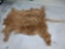 Brand New Scottish Highlander Robe Taxidermy