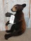 Black Bear Cub Sitting Pose Taxidermy Mount