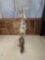 African Vaal Duiker Full Body Taxidermy Mount