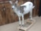 Piebald Whitetail Doe Full Body Taxidermy Mount