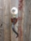 Polished African Kudu Horn Wall Sconce