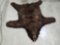 Brown Phase Black Bear Rug Taxidermy