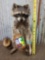 Raccoon Eating Peanut Butter