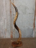 Hand Carved African Kudu Horn Accent Piece