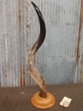 Relief Carved African Kudu Horn Accent Piece