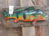 Real Skin Taxidermy Mount Peacock Bass