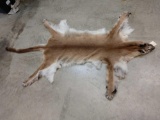 Soft Tanned Mountain Lion Pelt For Taxidermy